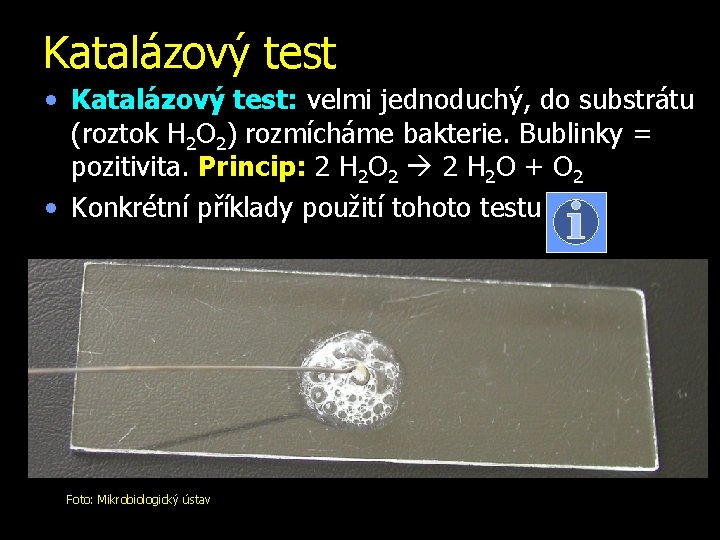 Katalázový test • Katalázový test: velmi jednoduchý, do substrátu (roztok H 2 O 2)