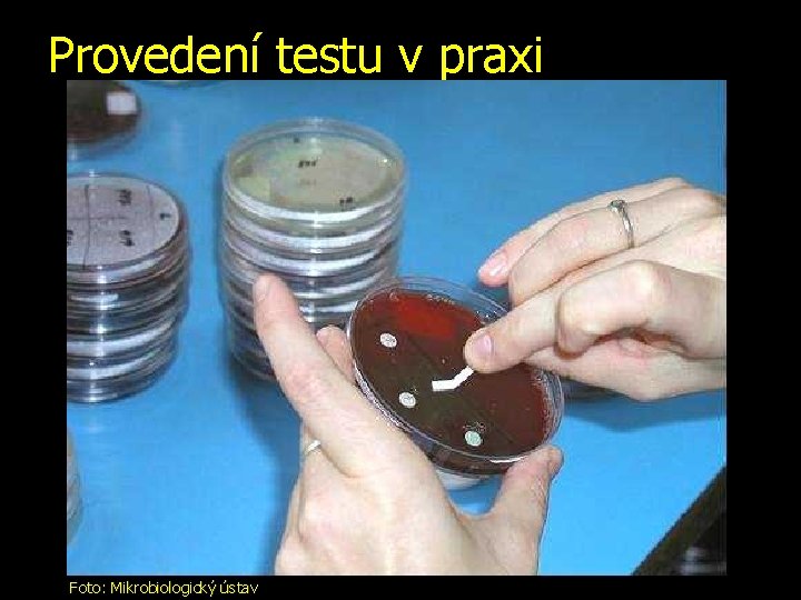 Provedení testu v praxi Foto: Mikrobiologický ústav 