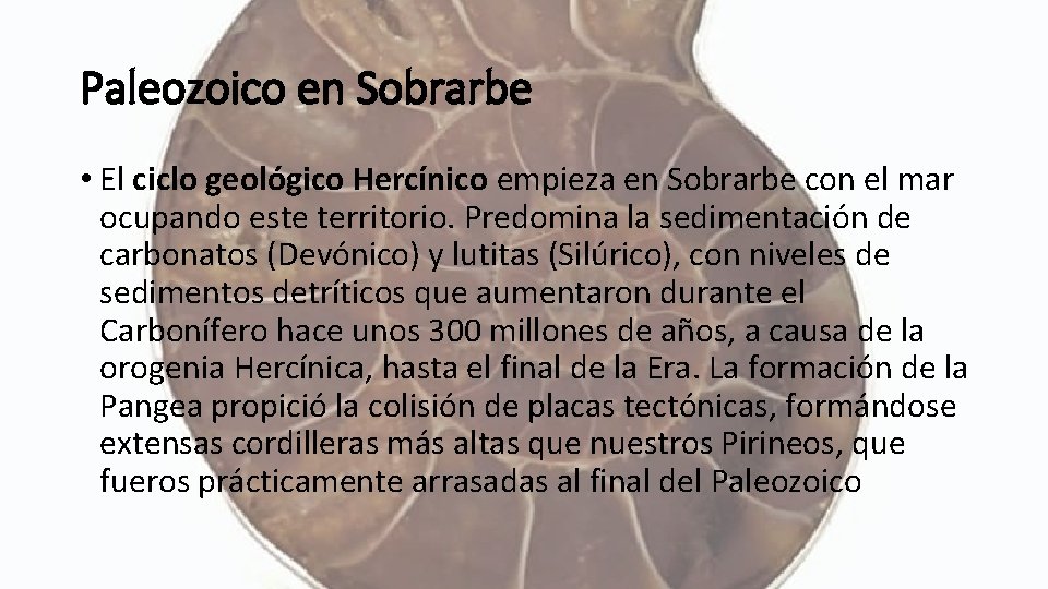 Paleozoico en Sobrarbe • El ciclo geológico Hercínico empieza en Sobrarbe con el mar