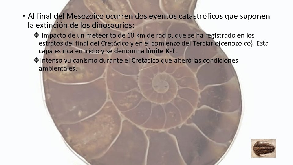  • Al final del Mesozoico ocurren dos eventos catastróficos que suponen la extinción