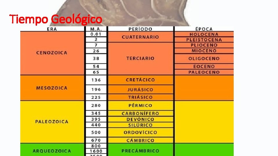 Tiempo Geológico 