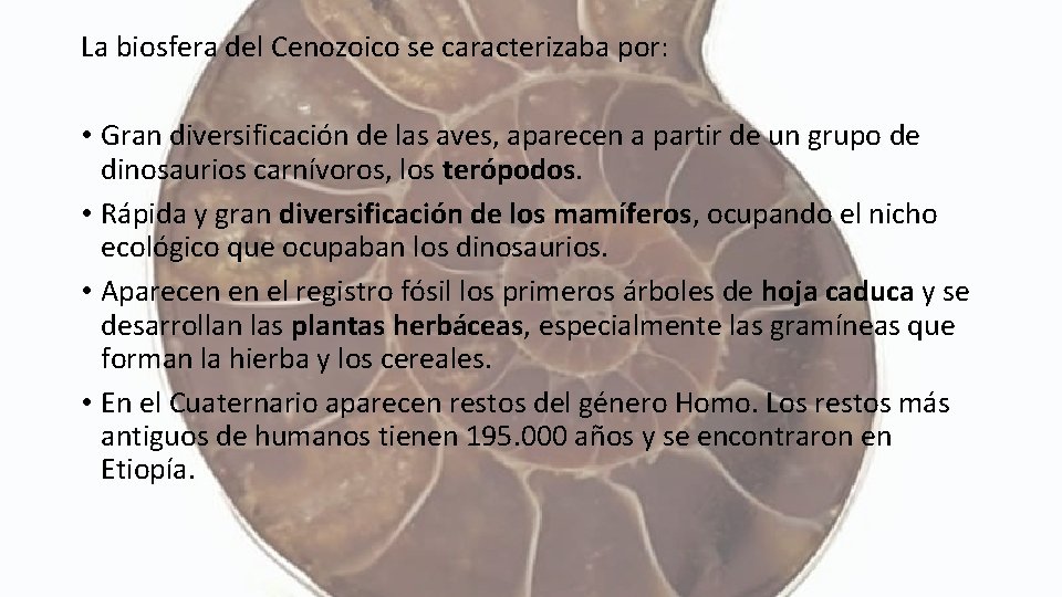 La biosfera del Cenozoico se caracterizaba por: • Gran diversificación de las aves, aparecen