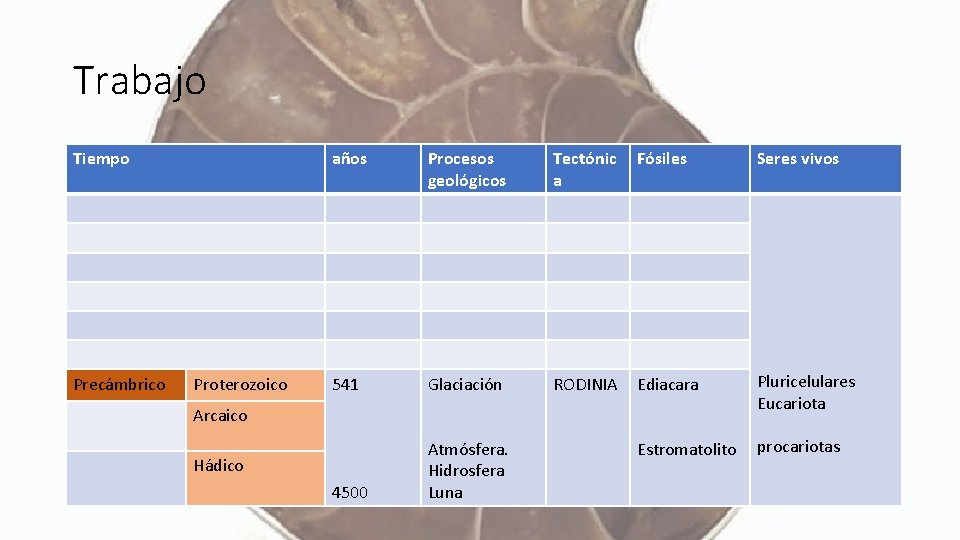 Trabajo Tiempo Precámbrico Proterozoico años Procesos geológicos Tectónic a Fósiles Seres vivos 541 Glaciación
