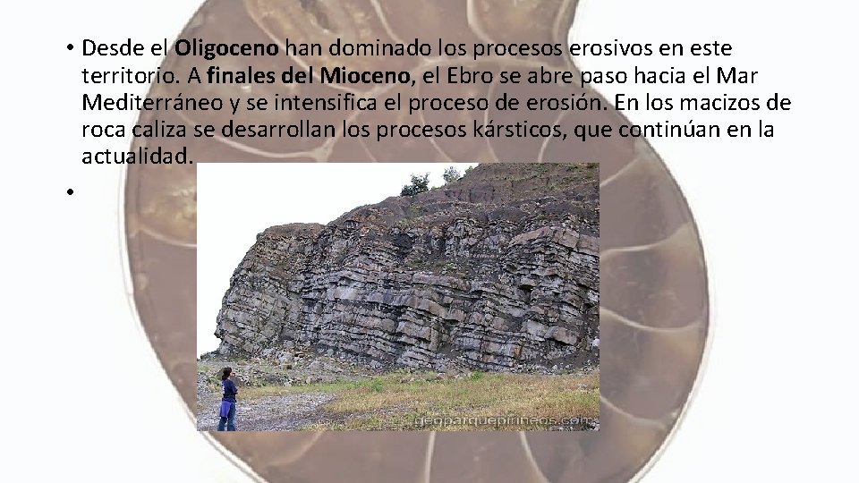  • Desde el Oligoceno han dominado los procesos erosivos en este territorio. A