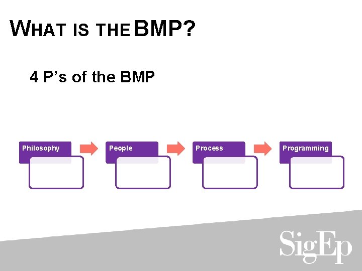 WHAT IS THE BMP? 4 P’s of the BMP Philosophy People Process Programming 