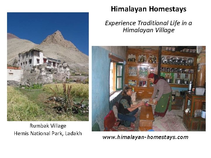 Himalayan Homestays Experience Traditional Life in a Himalayan Village Rumbak Village Hemis National Park,