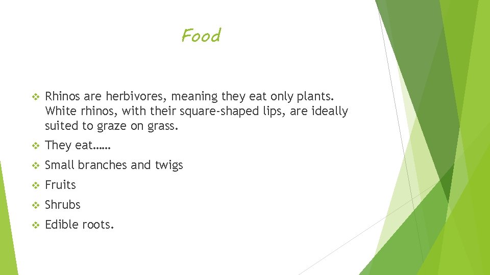 Food v Rhinos are herbivores, meaning they eat only plants. White rhinos, with their