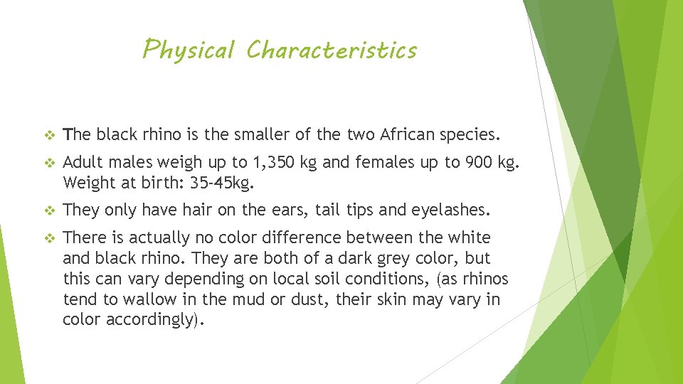 Physical Characteristics v The black rhino is the smaller of the two African species.