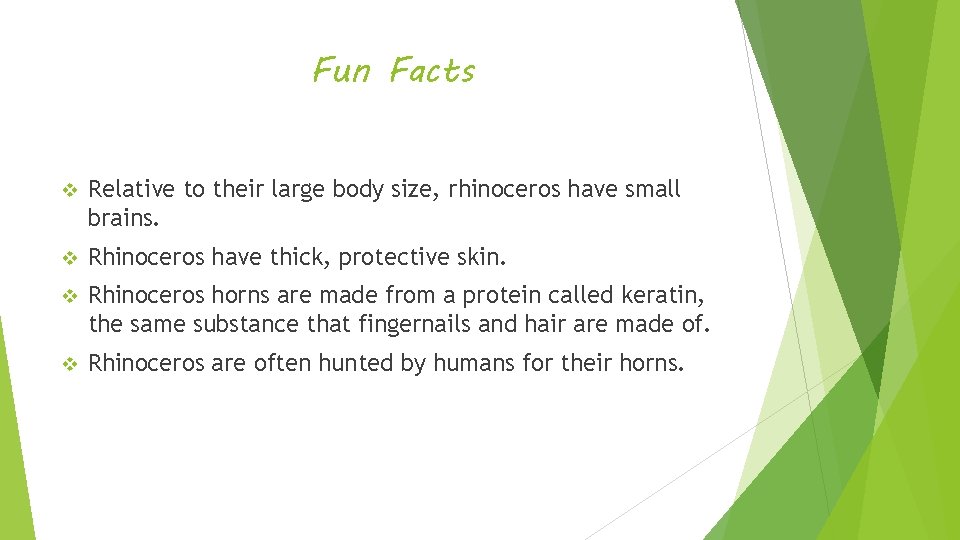 Fun Facts v Relative to their large body size, rhinoceros have small brains. v