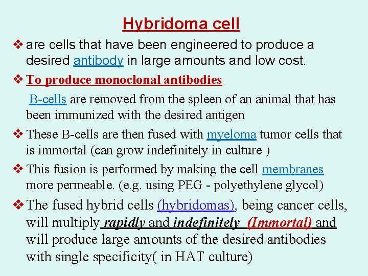 Hybridoma cell v are cells that have been engineered to produce a desired antibody