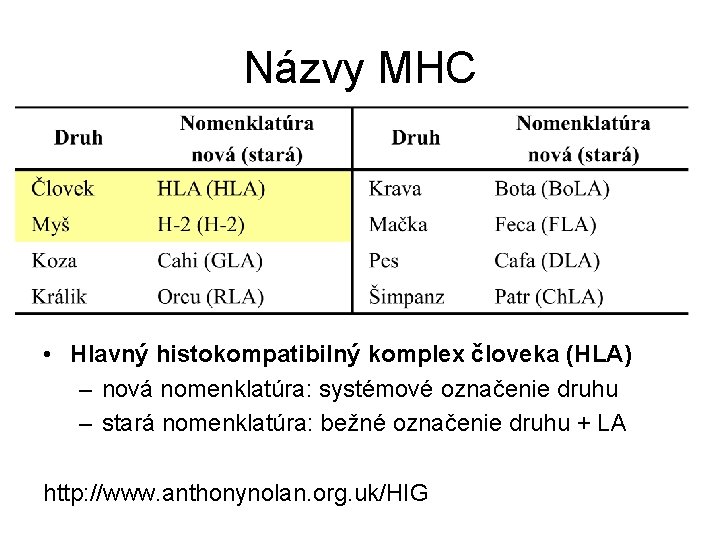 Názvy MHC • Hlavný histokompatibilný komplex človeka (HLA) – nová nomenklatúra: systémové označenie druhu