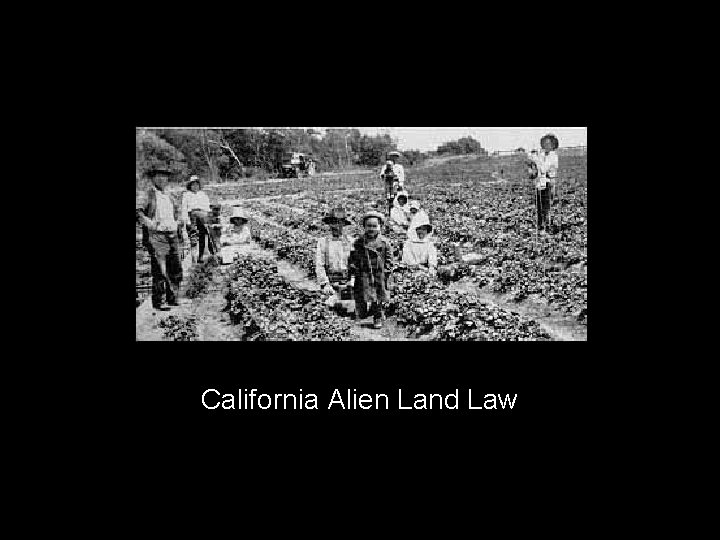 California Alien Land Law 