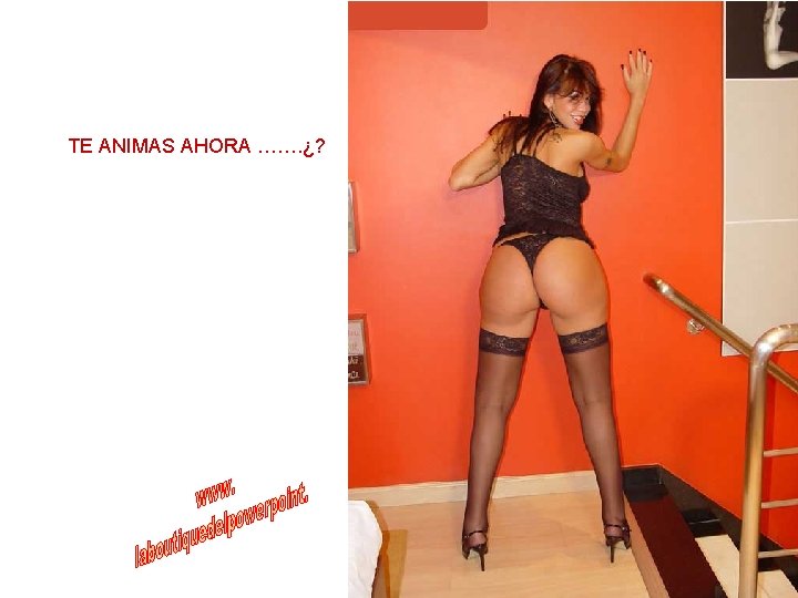 TE ANIMAS AHORA ……. ¿? 