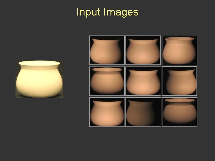 Input Images 