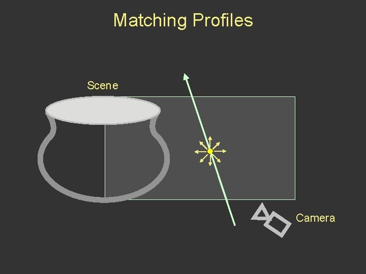 Matching Profiles Scene Camera 