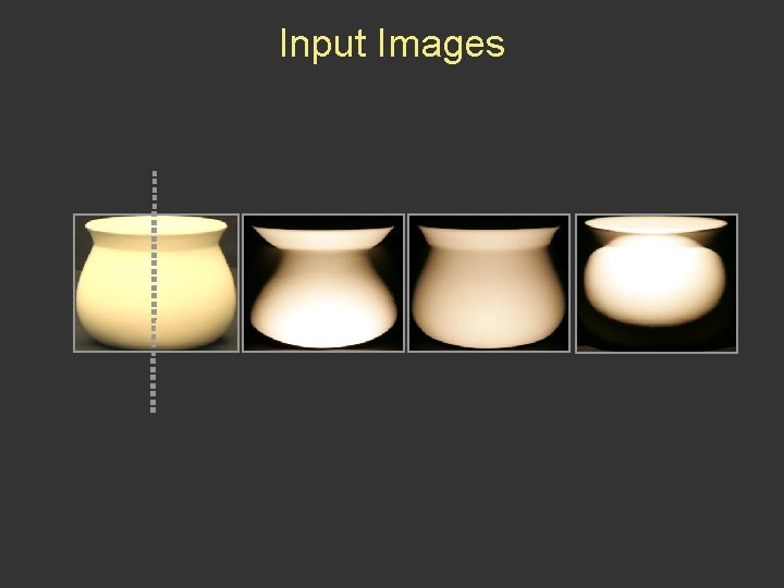 Input Images 