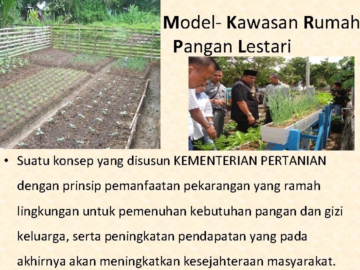 Model- Kawasan Rumah Pangan Lestari • Suatu konsep yang disusun KEMENTERIAN PERTANIAN dengan prinsip