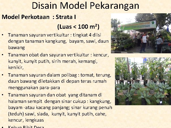 Disain Model Pekarangan Model Perkotaan : Strata I (Luas < 100 m 2) •