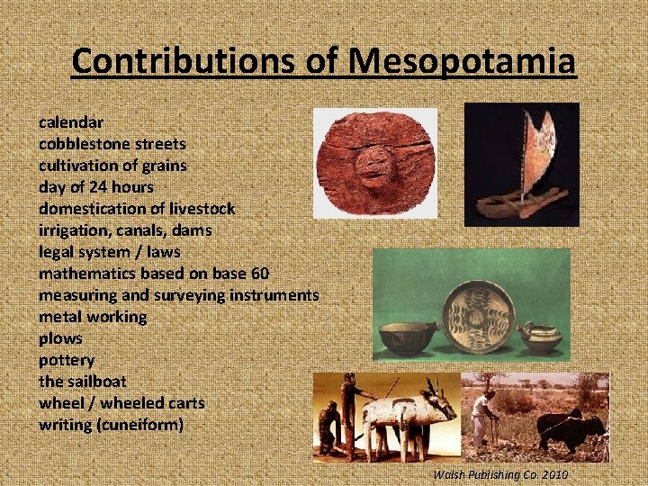 Contributions of Mesopotamia calendar cobblestone streets cultivation of grains day of 24 hours domestication