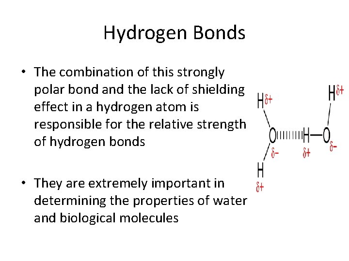 Hydrogen Bonds • The combination of this strongly polar bond and the lack of