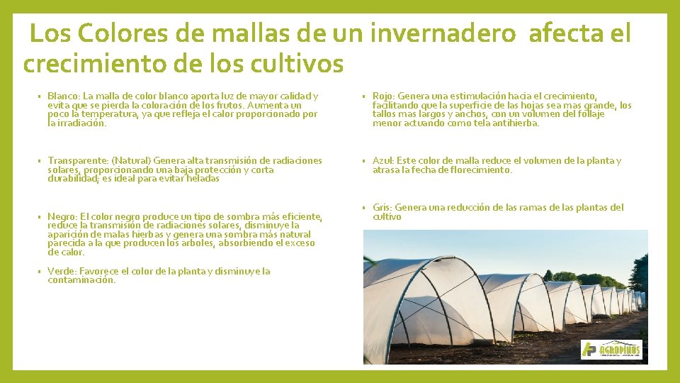 Los Colores de mallas de un invernadero afecta el crecimiento de los cultivos •