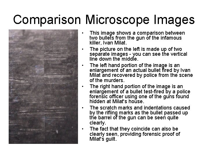 Comparison Microscope Images • • • This image shows a comparison between two bullets