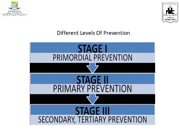 Different Levels Of Prevention 