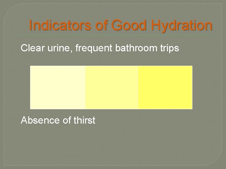 Indicators of Good Hydration Clear urine, frequent bathroom trips Absence of thirst 