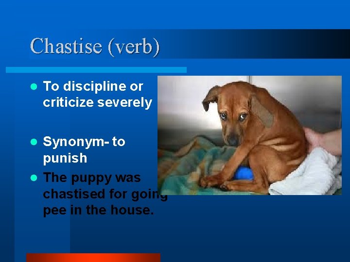 Chastise (verb) l To discipline or criticize severely Synonym- to punish l The puppy