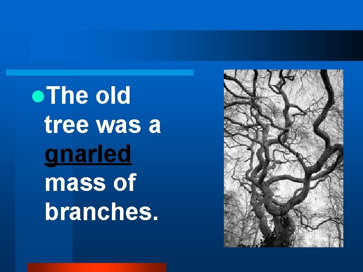 l. The old tree was a gnarled mass of branches. 