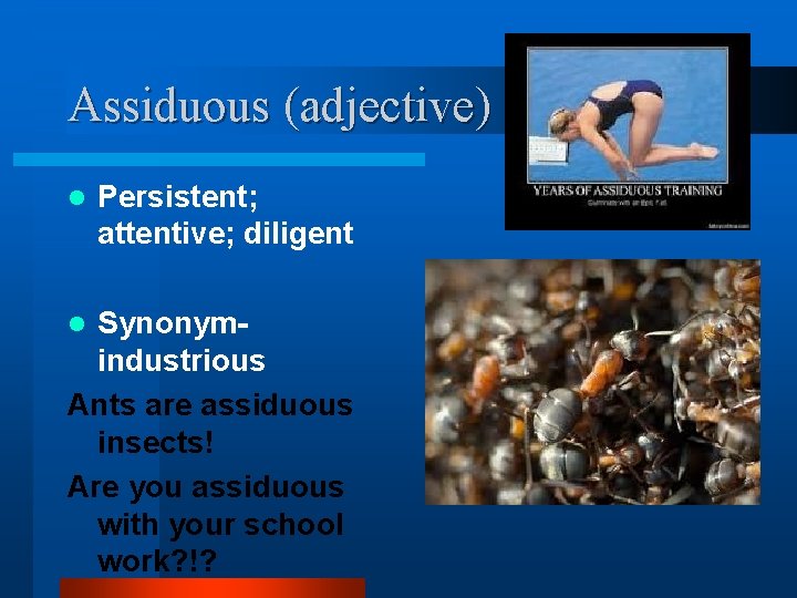 Assiduous (adjective) l Persistent; attentive; diligent Synonymindustrious Ants are assiduous insects! Are you assiduous