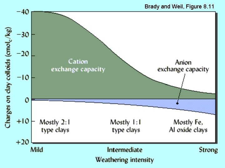 Brady and Weil, Figure 8. 11 