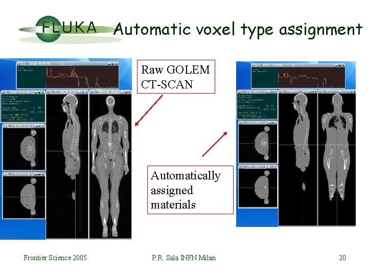 Automatic voxel type assignment Raw GOLEM CT-SCAN Automatically assigned materials Frontier Science 2005 P.