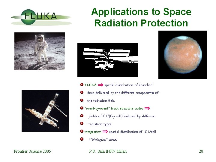 Applications to Space Radiation Protection FLUKA spatial distribution of absorbed dose delivered by the