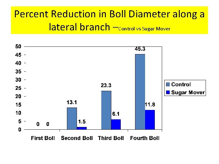 Percent Reduction in Boll Diameter along a lateral branch –Control vs Sugar Mover 