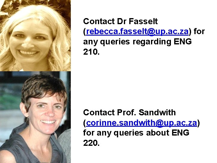 Contact Dr Fasselt (rebecca. fasselt@up. ac. za) for any queries regarding ENG 210. Contact