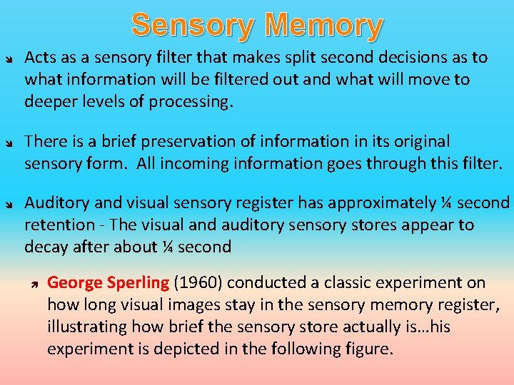 Sensory Memory Acts as a sensory filter that makes split second decisions as to