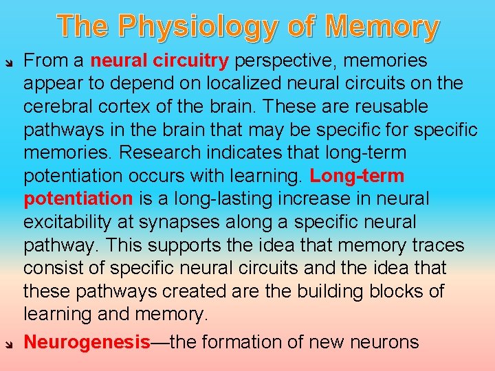 The Physiology of Memory From a neural circuitry perspective, memories appear to depend on