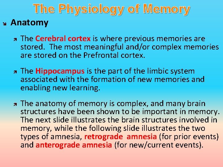 The Physiology of Memory Anatomy The Cerebral cortex is where previous memories are stored.