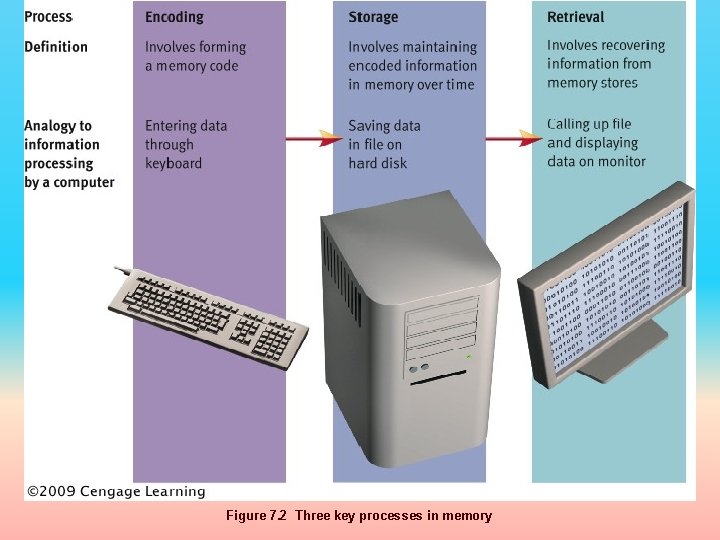 Figure 7. 2 Three key processes in memory 