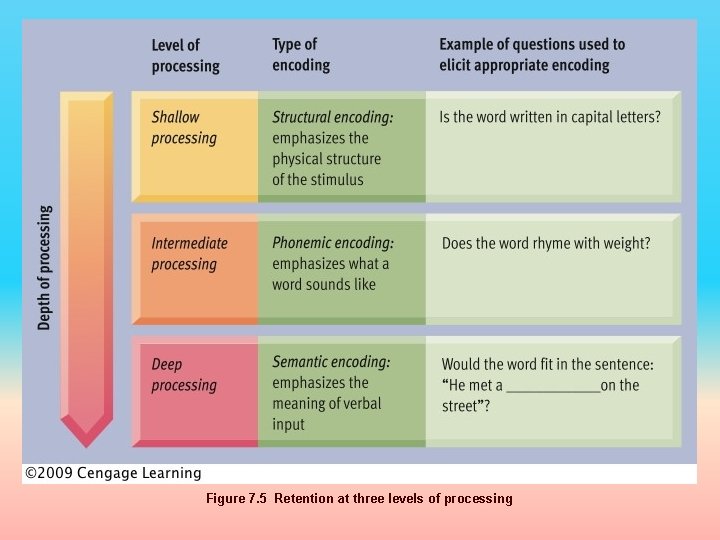 Figure 7. 5 Retention at three levels of processing 