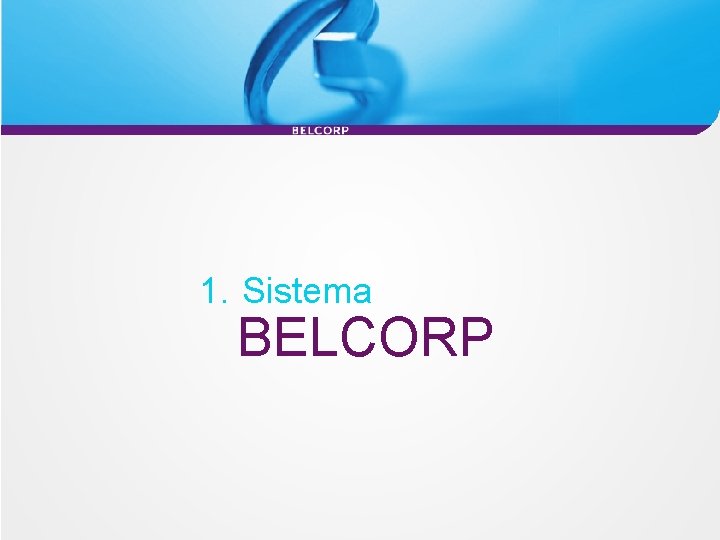 1. Sistema BELCORP 