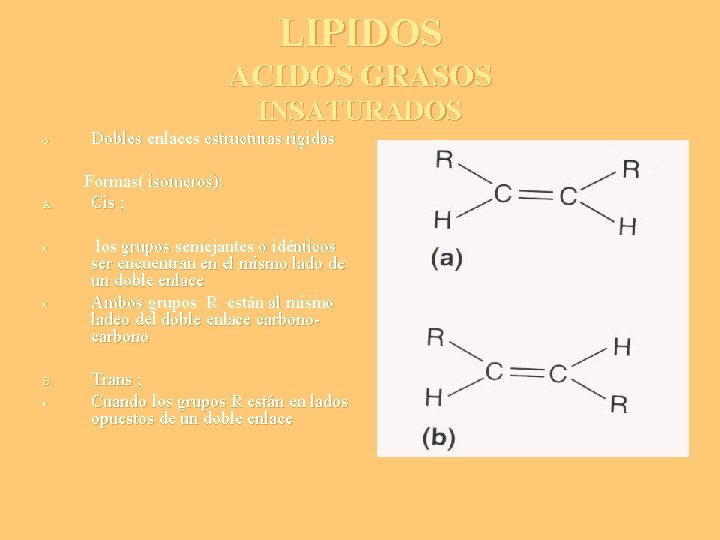 LIPIDOS ACIDOS GRASOS INSATURADOS o A. • • B. • Dobles enlaces estructuras rígidas