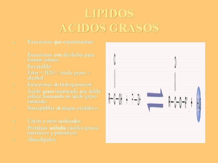 LIPIDOS ACIDOS GRASOS A. 1. • • 2. • 3. B. 1. 2. Reacciones