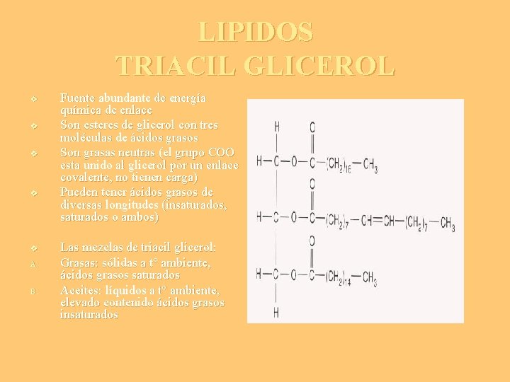 LIPIDOS TRIACIL GLICEROL v v v A. B. Fuente abundante de energía química de