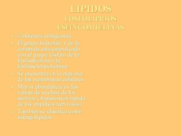LIPIDOS FOSFOLIPIDOS ESFINGOMIELINAS Ø Ø Ø Contienen esfingosina El grupo hidroxilo 1 de la