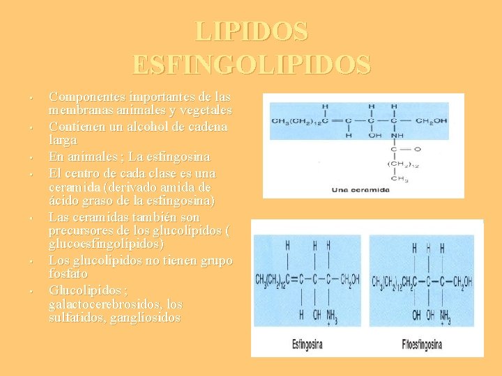 LIPIDOS ESFINGOLIPIDOS • • Componentes importantes de las membranas animales y vegetales Contienen un