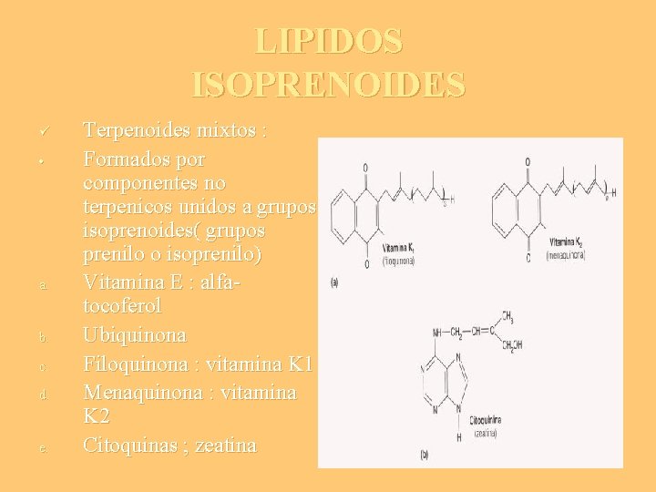 LIPIDOS ISOPRENOIDES ü • a. b. c. d. e. Terpenoides mixtos : Formados por