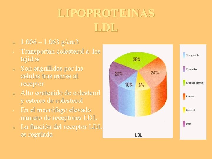 LIPOPROTEINAS LDL o • o o • o 1. 006 – 1. 063 g/cm