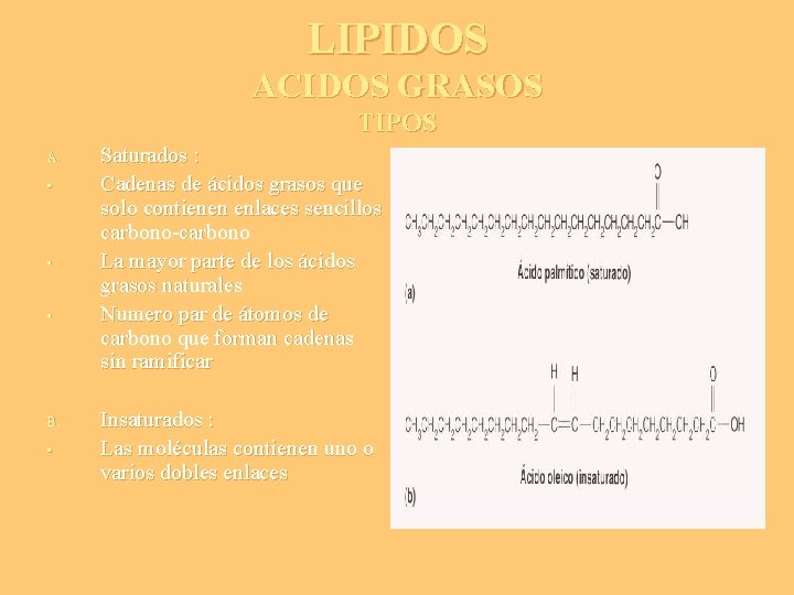 LIPIDOS ACIDOS GRASOS TIPOS A. • • • B. • Saturados : Cadenas de